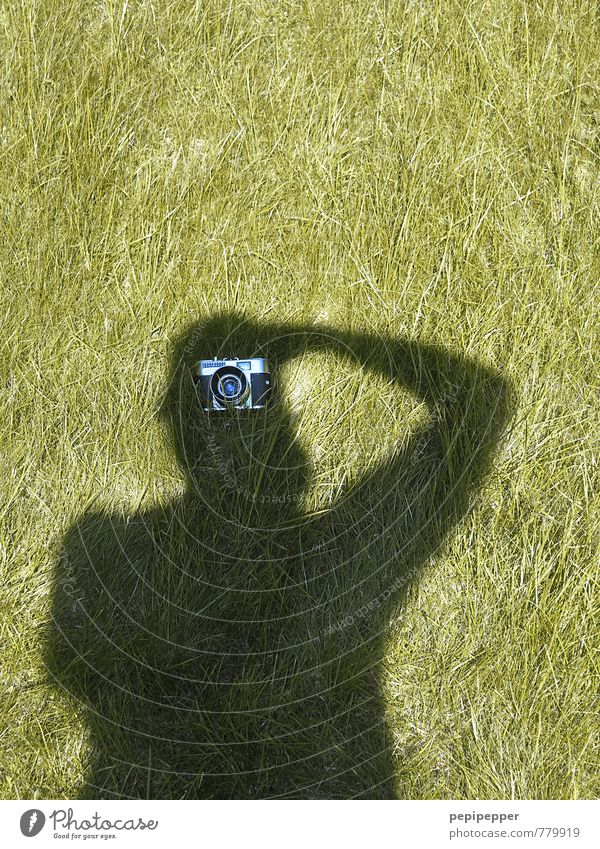 undercover_2 Freizeit & Hobby Fotokamera maskulin Mann Erwachsene Körper 1 Mensch Sommer Gras Garten Park Wiese Blick stehen außergewöhnlich grün schwarz