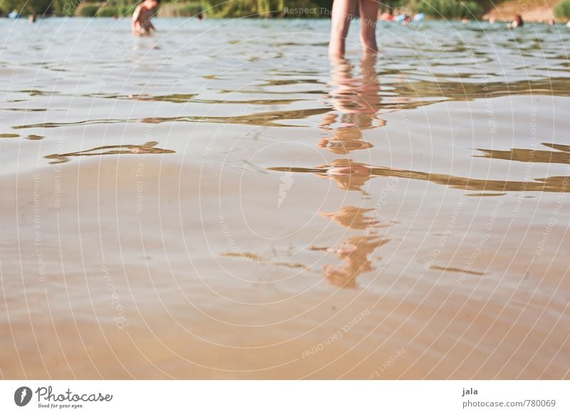 baggersee Sommer Sonnenbad feminin Beine 1 Mensch Natur Landschaft See Baggersee frisch nass Farbfoto Außenaufnahme Tag Reflexion & Spiegelung