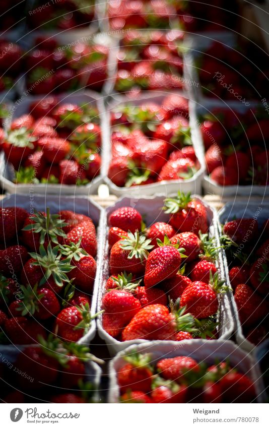 Strawberry Fields forever Lebensmittel Frucht Duft kaufen Essen rot Erdbeeren Markt Bioprodukte lecker Fruchteis Joghurt Farbfoto Außenaufnahme Morgen