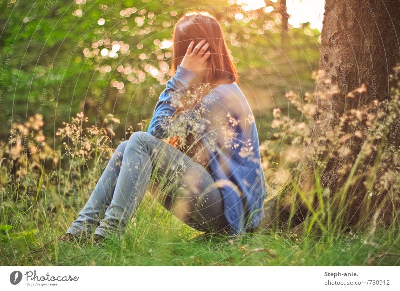 Verträumte Welt feminin Junge Frau Jugendliche Erwachsene 1 Mensch Umwelt Natur Sonnenaufgang Sonnenuntergang Sommer Baum Gras Wiese Wald Denken Erholung
