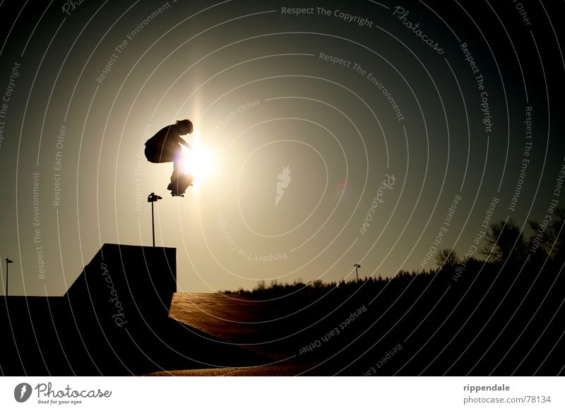 transfer ollie Skateboarding Sonnenuntergang Aktion extrem Kontrast Sport