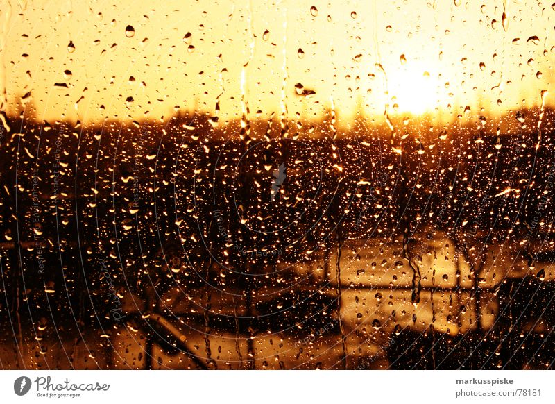 it's raining cats and dogs Sonnenuntergang Fenster Regen Wetter Fensterscheibe Glas Wassertropfen