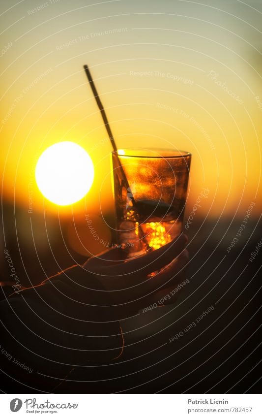 letzter Strohhalm Getränk trinken Erfrischungsgetränk Alkohol Longdrink Cocktail Lifestyle Reichtum elegant schön Zufriedenheit Sinnesorgane Erholung ruhig