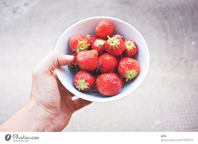 erdbeeren Lebensmittel Frucht Erdbeeren Ernährung Picknick Bioprodukte Vegetarische Ernährung Fingerfood Schalen & Schüsseln feminin Hand frisch Gesundheit