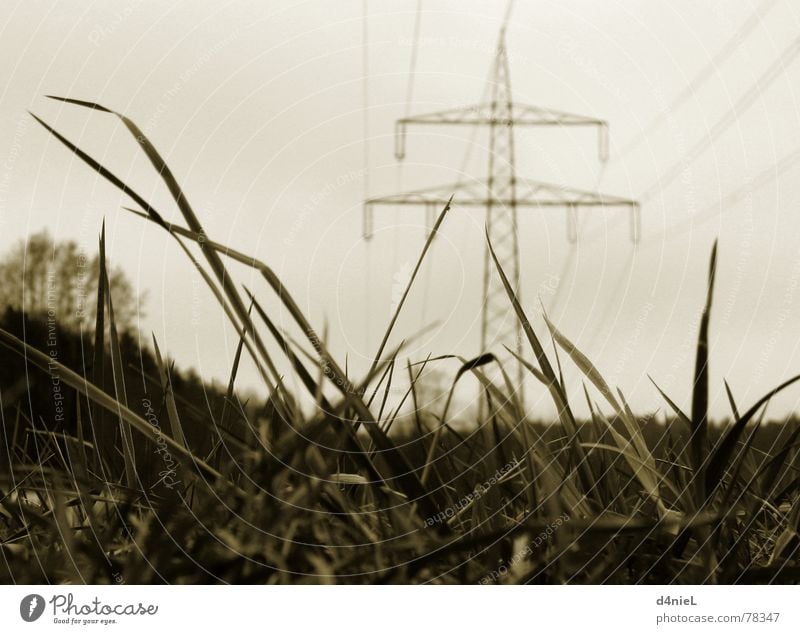 Ökostrom Elektrizität Starkstrom Wiese Gras Herbst ruhig Hoffnung Elektrisches Gerät Strommast elektronisch Industrie Schwarzweißfoto Technik & Technologie