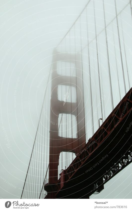 golden gate I Golden Gate Bridge San Francisco San Francisco Bay Brücke USA Amerika Straße Verkehr Hängebrücke Kalifornien Wahrzeichen Nebel Bauwerk Architektur