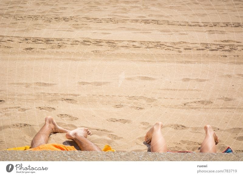 Vierfüßlerstrand schön Haut Erholung ruhig Freizeit & Hobby Ferien & Urlaub & Reisen Tourismus Ferne Sommer Sommerurlaub Sonnenbad Strand Mensch maskulin