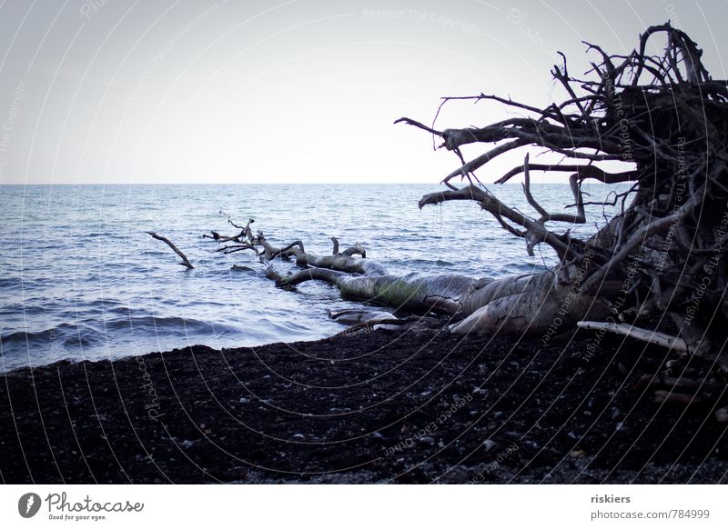 spuren der zeit Umwelt Natur Landschaft Wasser Frühling Sommer Wellen Küste Strand Ostsee dunkel kalt blau schwarz schön ruhig Sehnsucht Idylle träumen Verfall