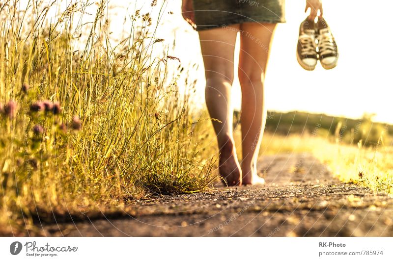 go in sunset feminin Junge Frau Jugendliche Leben Beine 1 Mensch 18-30 Jahre Erwachsene Rock Schuhe laufen frei einzigartig Wärme gelb gold Farbfoto