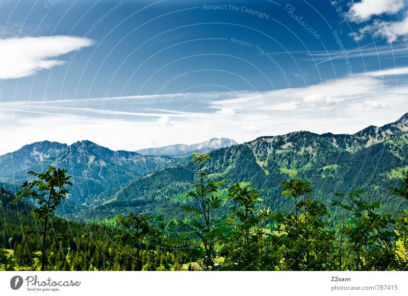 HEIMAT 2 Ferien & Urlaub & Reisen Tourismus Ausflug wandern Umwelt Natur Landschaft Himmel Wolken Sommer Schönes Wetter Wiese Wald Alpen Berge u. Gebirge See