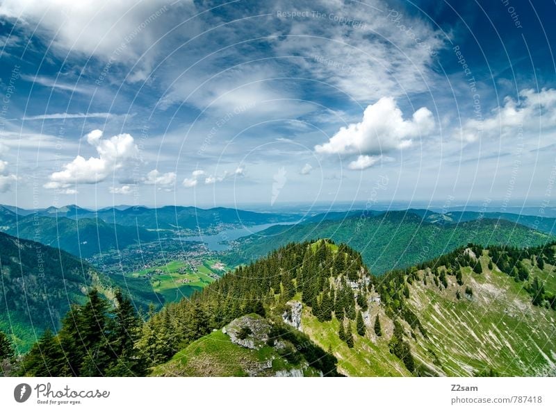 Tegernsee Ferien & Urlaub & Reisen Ausflug wandern Klettern Bergsteigen Umwelt Natur Landschaft Himmel Wolken Sommer Schönes Wetter Baum Wald Alpen