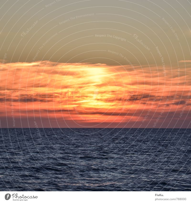 Ostsee-Dreiteiler Umwelt Urelemente Luft Wasser Himmel Wolken Horizont Sonne Sonnenaufgang Sonnenuntergang Schönes Wetter Meer blau gelb orange Stimmung