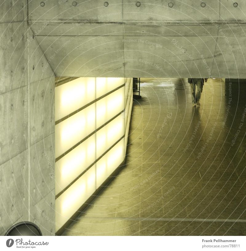 DER UNTERGANG Licht einfach Beton Lampe Gebäude Station Zugang Tunnel gelb Neonlicht hell Unterführung Stein Stadt Leuchtkörper Beleuchtung Architektur