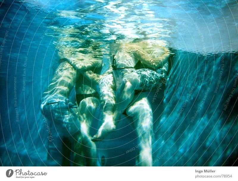 Meerjungpaare Schwimmbad 4 2 Küssen Sommer vertraut Froschperspektive Mann Frau Badehose Wasser Liebe nah Unterwasseraufnahme Reflexion & Spiegelung Paar pikini