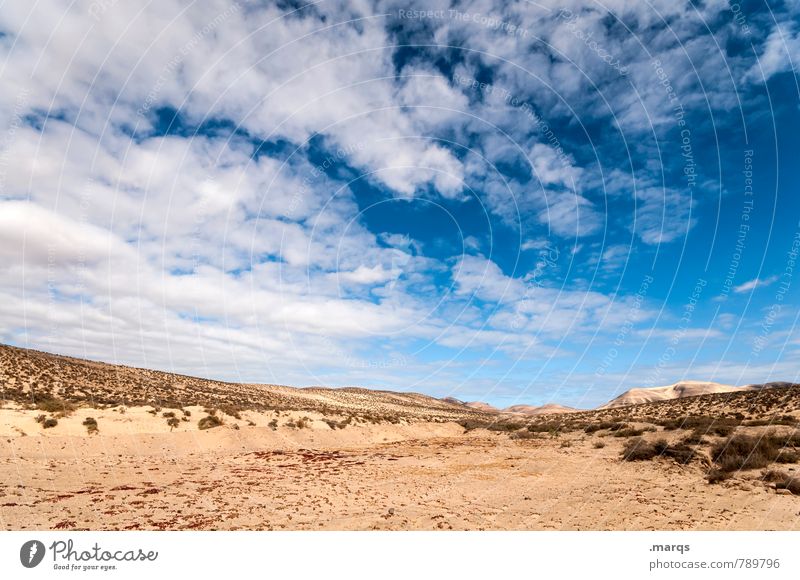 Desert Ferien & Urlaub & Reisen Sommerurlaub Umwelt Natur Landschaft Himmel Wolken Horizont Klima Schönes Wetter Wüste Erholung exotisch heiß trocken Wärme