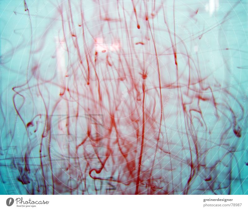 Schlieren Blut Blutspur rot Unschärfe Farbe Makroaufnahme Nahaufnahme obskur wasserverschmutzung Flüssigkeit blau Wasser dreckig zerrinnen Menschenleer mischen