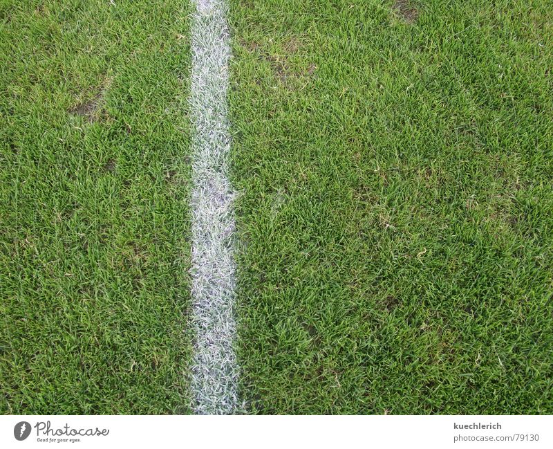 Eine Linie markiert den Spielfeldrand Grundlinie Gras grün Grünfläche Streifen Feld Sport Mittellinie Sportrasen Sportplatz Fußballplatz Wiese Grenze Spielen