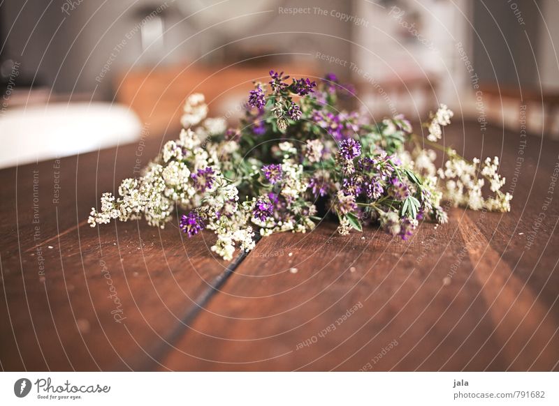 blumen Häusliches Leben Wohnung Innenarchitektur Tisch Raum Blume Blüte Blumenstrauß ästhetisch natürlich schön Holztisch Farbfoto Innenaufnahme Menschenleer