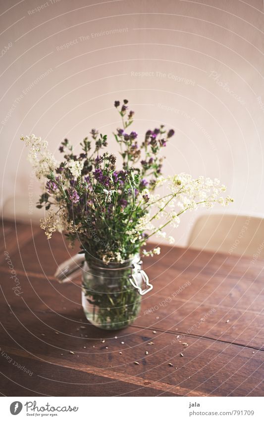blumenstrauß Häusliches Leben Wohnung Stuhl Tisch Pflanze Blume Blatt Blüte Wildpflanze Blumenstrauß Vase ästhetisch Freundlichkeit natürlich schön Holztisch