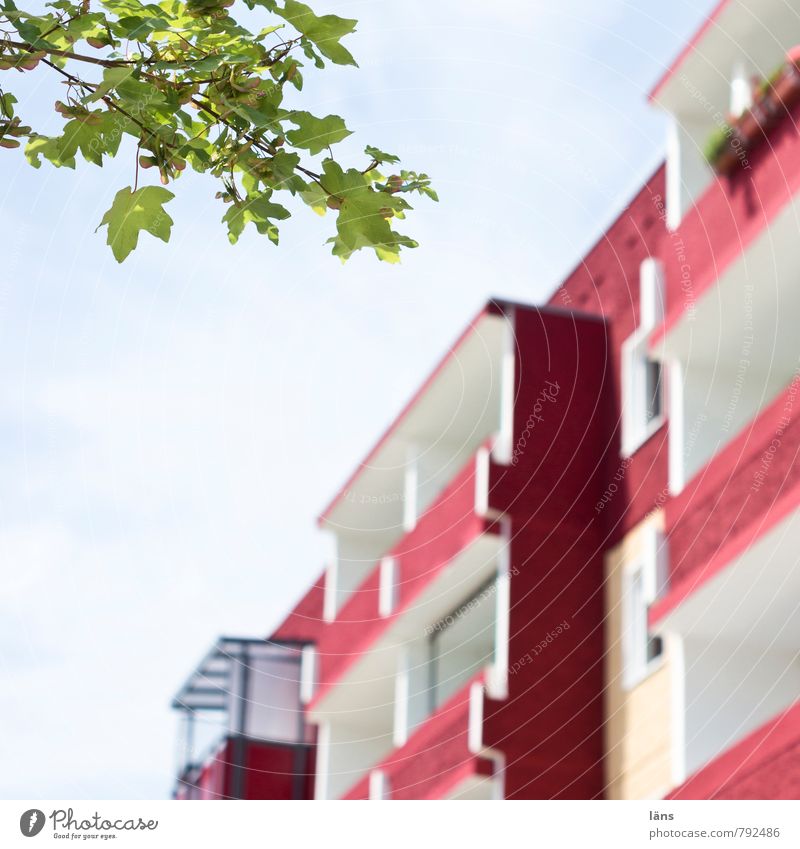 Blatt grün l Platte rot Häusliches Leben Wohnung Haus Himmel Baum Stadt Stadtzentrum Hochhaus Bauwerk Gebäude Architektur Plattenbau Balkon Beton eckig einfach