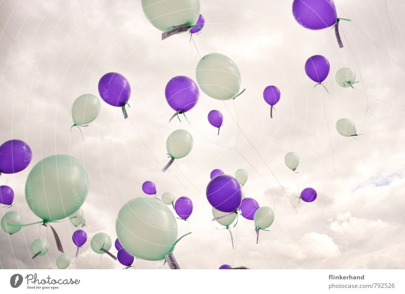 Zärtlichkeit Feste & Feiern Hochzeit Veranstaltung Himmel Wolken Luftballon fliegen träumen Glück oben grün violett Fröhlichkeit Lebensfreude Freiheit