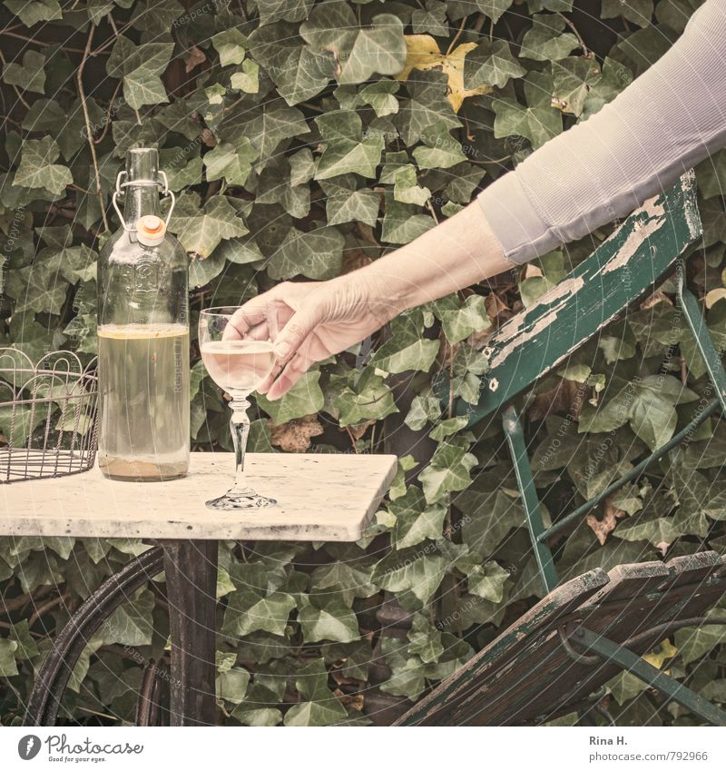 Genug Mensch 1 45-60 Jahre Erwachsene Efeu Garten grün Hoffnung Alkoholsucht Einsamkeit Ende Entschlossenheit Sucht Stillleben Gartenstuhl verfallen Flasche