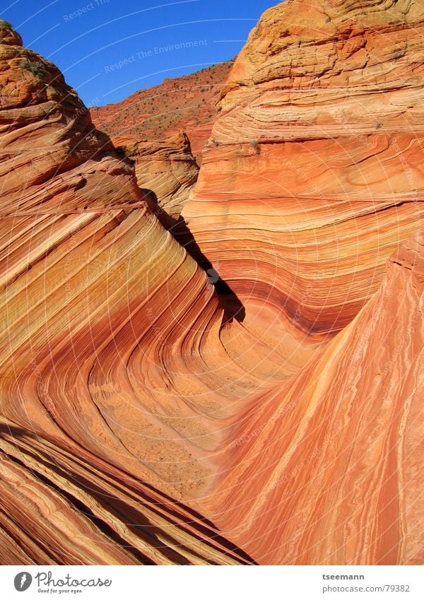 The Wave III Schlucht Sandstein Wellen Licht gelb rot USA Berge u. Gebirge Stein orange Marmor Strukturen & Formen sun marbel slot canyon red stone