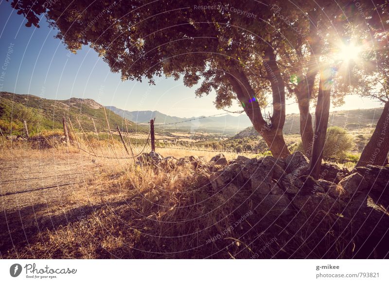 Korsika - Sonnenuntergang Landschaft Sonnenaufgang Sonnenlicht Sommer Berge u. Gebirge Ferne groß Unendlichkeit Wärme Farbfoto Außenaufnahme Menschenleer Tag