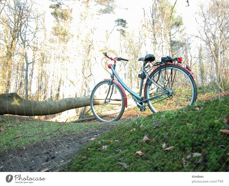 Wo bleibt er denn? Fahrrad Wald Baumstamm grün Wiese fahren Mobilität unterwegs Sträucher Blatt Holz Überbelichtung dunkel warten Sitzgelegenheit Fahrradlenker