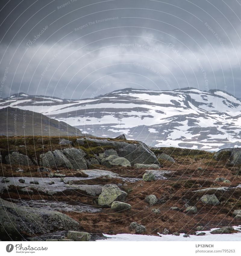 N O R W A Y - Stones - XXII Umwelt Natur Landschaft Tier Wolken schlechtes Wetter Gras Berge u. Gebirge Norwegen wandern dunkel gigantisch Abenteuer Einsamkeit