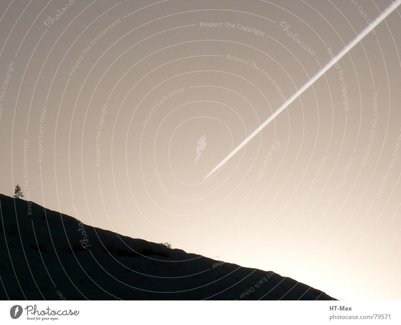 Flugzeug im Sonnenlicht Meteor Komet Gegenlicht Baum Luftverkehr einschlag Himmel