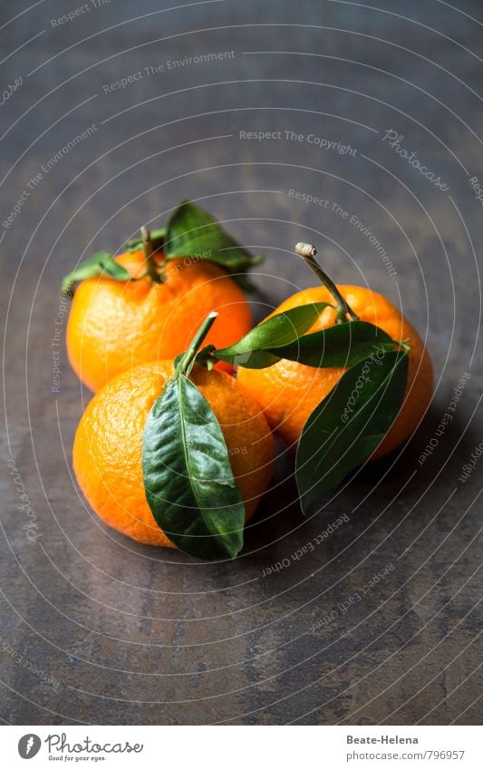 wo die Orangen blühen, wachsen, schmecken Lebensmittel Frucht Vegetarische Ernährung Gesunde Ernährung Natur Pflanze Essen genießen ästhetisch frisch Gesundheit