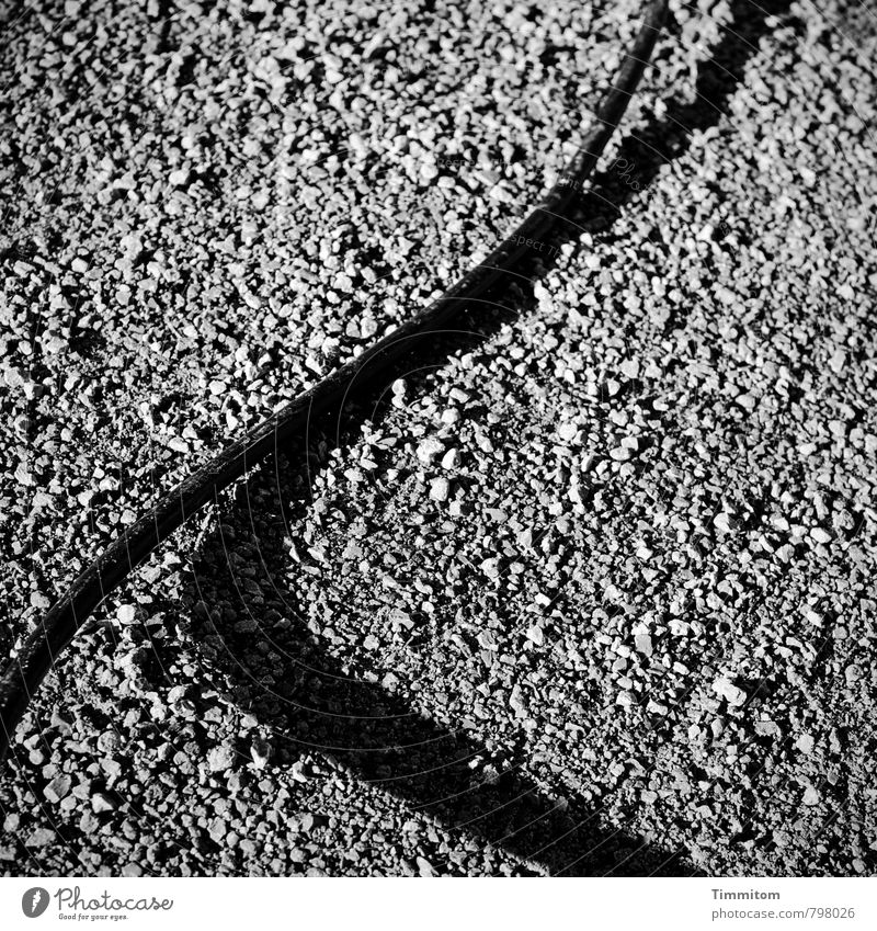 Jumping At Shadows II Kabel Schatten Stein Sand liegen dunkel einfach fest grau schwarz Gefühle Schwarzweißfoto Kontrast Außenaufnahme Menschenleer Tag