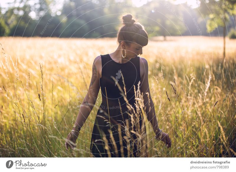 ... dieses Licht!!! feminin Junge Frau Jugendliche Erwachsene 1 Mensch Natur Sonnenlicht Sommer Schönes Wetter Gras Kleid schwarzhaarig Dutt berühren stehen
