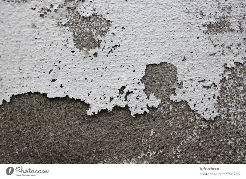 Farblos Mauer Wand alt Armut einfach trocken grau weiß Stil Tod Vergänglichkeit Wandel & Veränderung Monochrom Farbe Ewigkeit Fassade Farbfoto Außenaufnahme