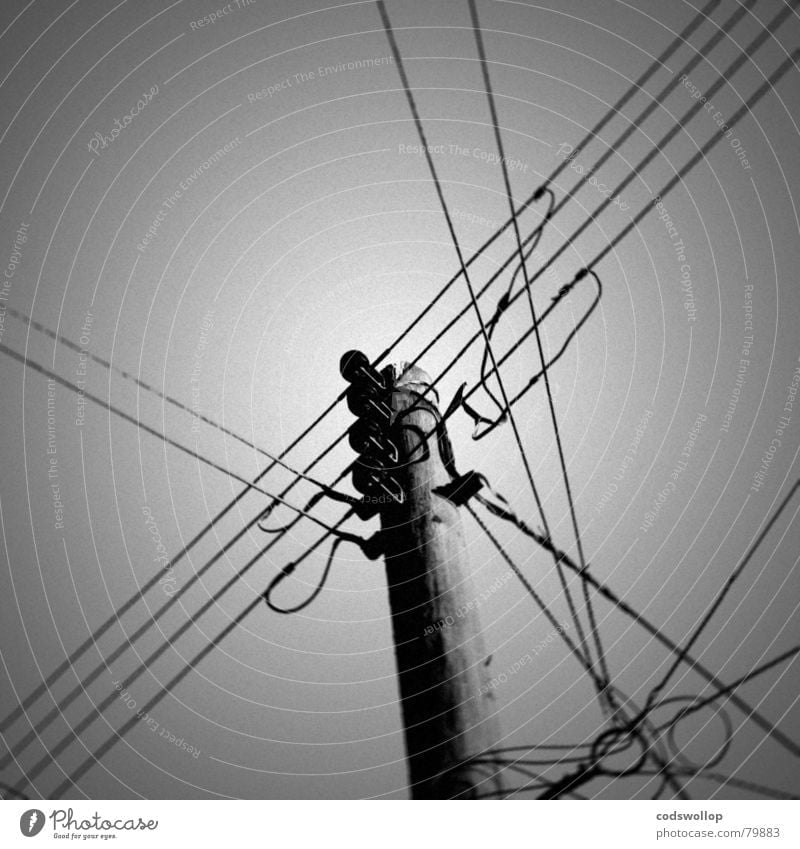 communication breakdown Verbundenheit Chatten Freizeichen Spannung Fernschreiber schwarz weiß Telefonmast Kommunizieren to good übertragungsweg telegraph pole