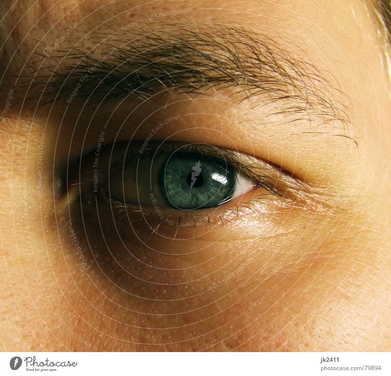 Augenblick 1 Gesicht nah blau Augenfarbe Wimpern Augenbraue Regenbogenhaut Pupille Nahaufnahme Pore Detailaufnahme Makroaufnahme Blick