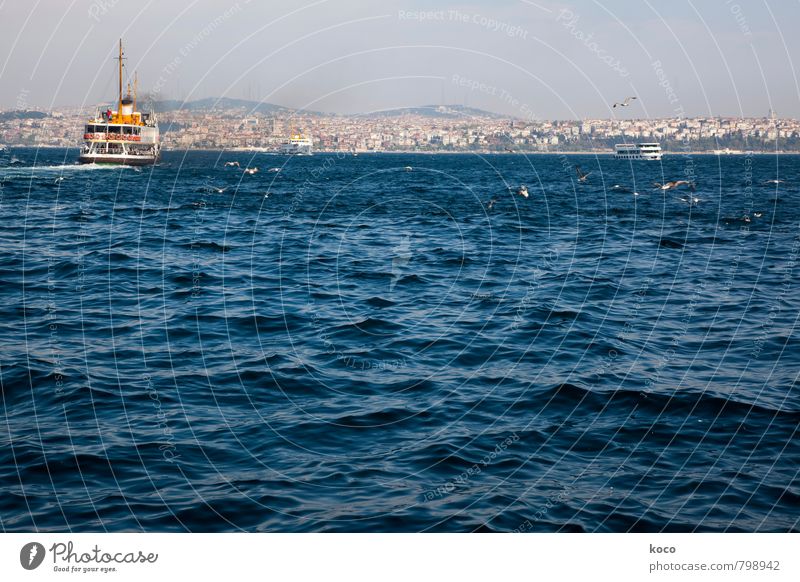 über den Bosporus... Umwelt Wasser Sommer Schönes Wetter Wellen Küste Meer Istanbul Türkei Europa Asien Hauptstadt Hafenstadt Skyline Verkehr Verkehrsmittel