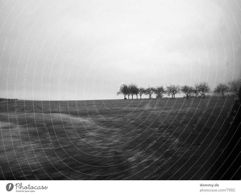 stillleben mit speed Stillleben Baum Geschwindigkeit Amerika Schwarzweißfoto 800 iso kaz