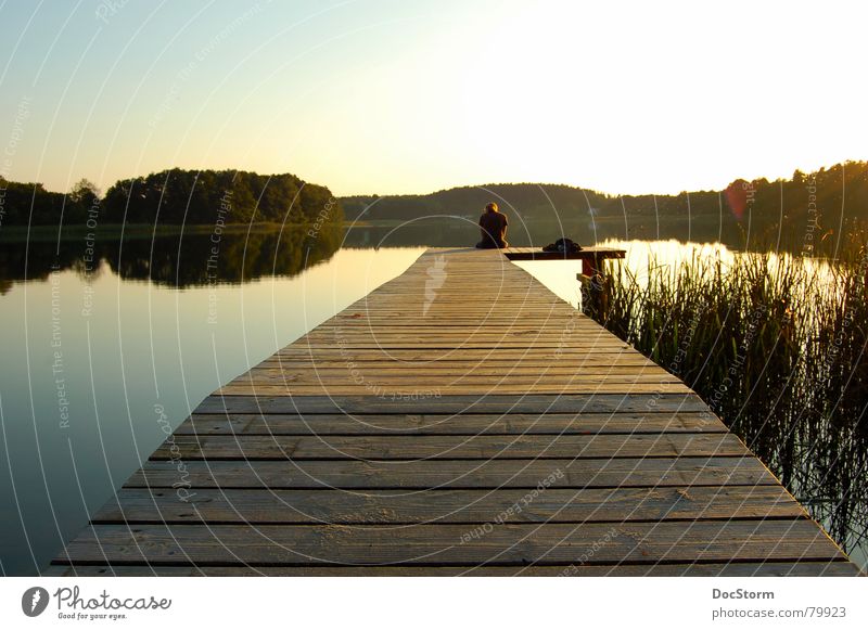 relaxen... See Gewässer Sonnenuntergang ruhig Einsamkeit Zufriedenheit Sommer Erholung gelb Steg Schilfrohr Spiegel Ferien & Urlaub & Reisen Romantik