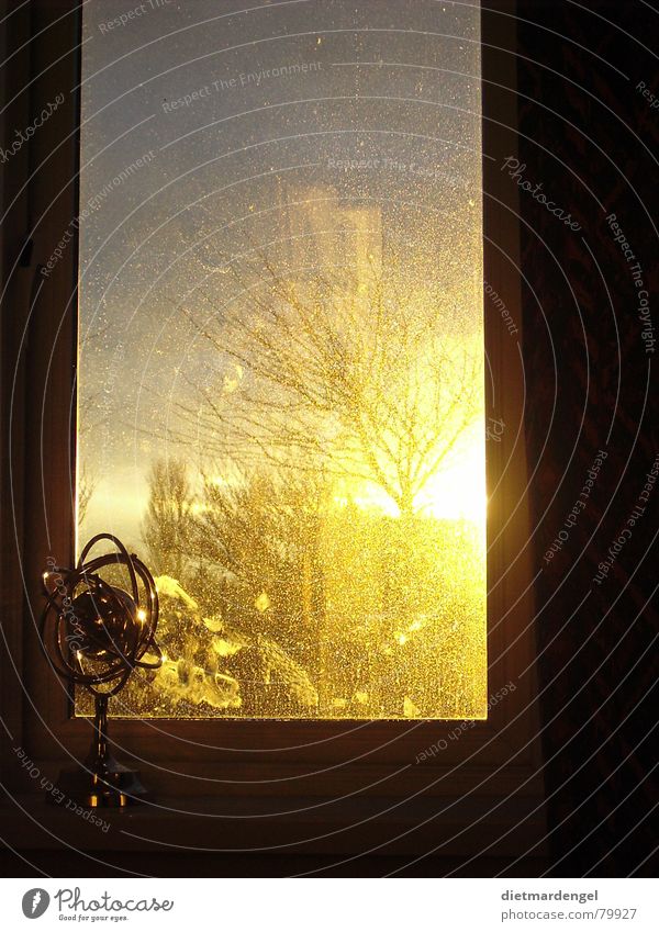 Weltkugel mit Sonnenuntergang Fensterladen Globus Jalousie gelb Apokalypse himmlisch Baum dreckig Schaufenster prächtig Abend beeindruckend fantastisch