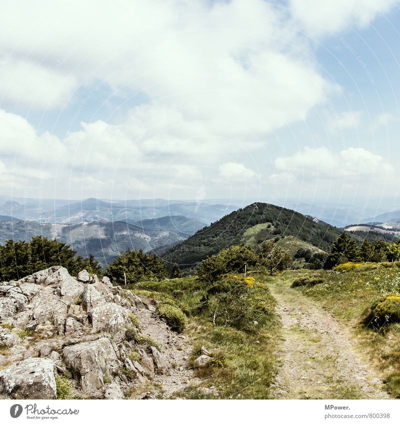 rhone-alpes Umwelt Landschaft Schönes Wetter Wind Wald Hügel Felsen Alpen Berge u. Gebirge hoch Wege & Pfade Fußweg Frankreich Farbfoto Außenaufnahme