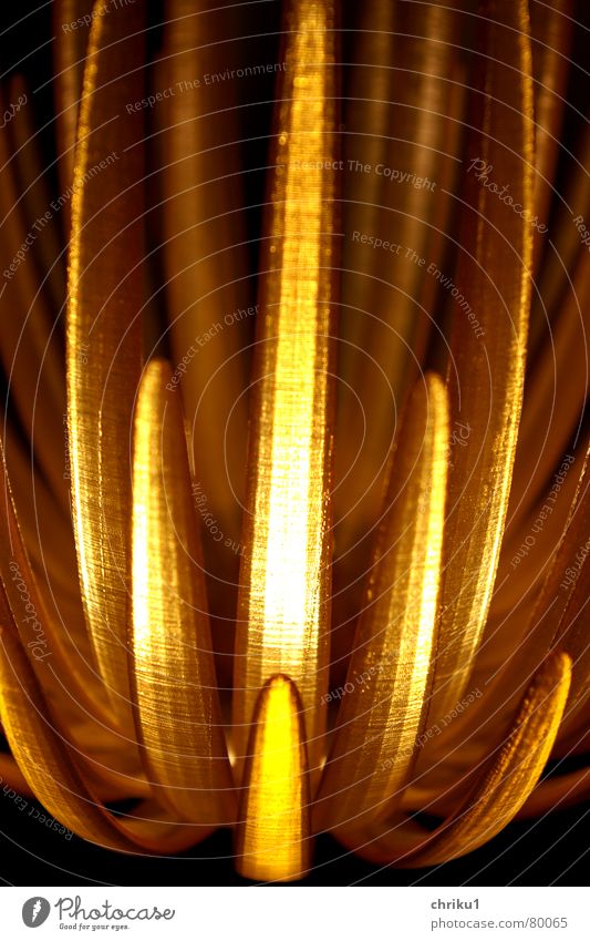 Lichtausschnitt bernsteinfarben Amber Lampe dunkel Lampenschirm Blüte Skulptur hell Elektrisches Gerät Technik & Technologie Kunst Kunsthandwerk Detailaufnahme