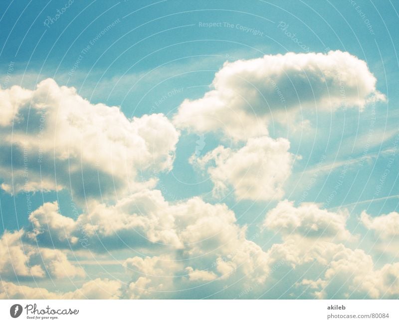 Im Himmel Wolken Hoffnung Luft Freundlichkeit Wetterdienst Meteorologie schön blau Sonne Klima Freiheit fliegen Schönes Wetter