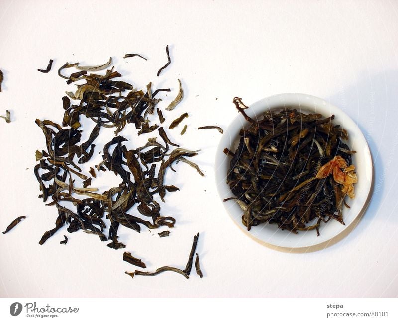 jasmin tee weiß Chinesisch China Originalität Teepflanze Grüner Tee Jasmin Teekultur Teedose ursprünglich authentisch jasmin tea grün tee grüner tee mit jas