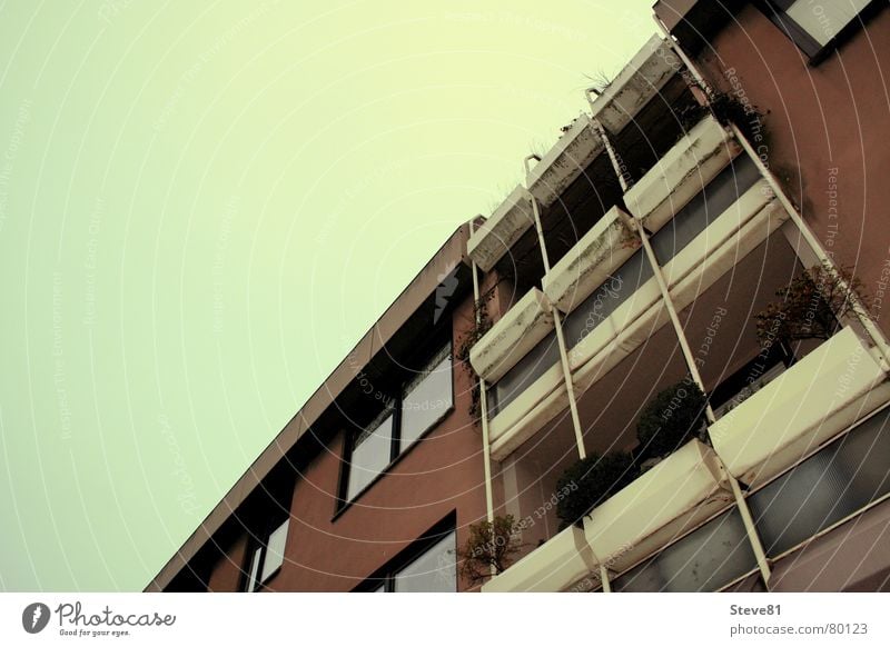 Green Himmel vs. Brown Haus braun grün Balkon Stadt Fenster Horizont Gebäude Dinge Design Schönes Wetter Leben Architektur