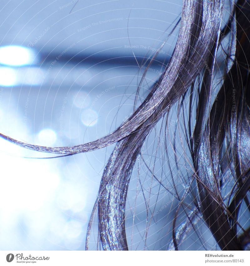 Haar-Ensemble 2 zerzaust gewaschen kalt nass Haare & Frisuren Wellness glänzend Haarsträhne lang schön Bad bad haar struppig blau Friseur Spitze Haarpflege