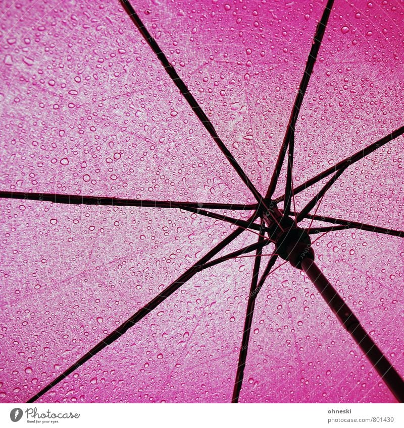 Sommerferien Wasser Wassertropfen schlechtes Wetter Regen Regenschirm Linie rosa Schutz Farbfoto mehrfarbig Außenaufnahme Tag Starke Tiefenschärfe