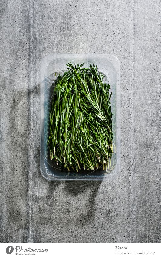 rosmarin Kräuter & Gewürze Bioprodukte Italienische Küche ästhetisch eckig einfach frisch Gesundheit kalt modern natürlich Sauberkeit grau grün Design