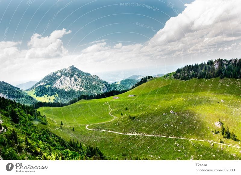 HEIMAT wandern Umwelt Natur Landschaft Himmel Wolken Sommer Wiese Wald Alpen Berge u. Gebirge ästhetisch nachhaltig natürlich blau grün ruhig Einsamkeit